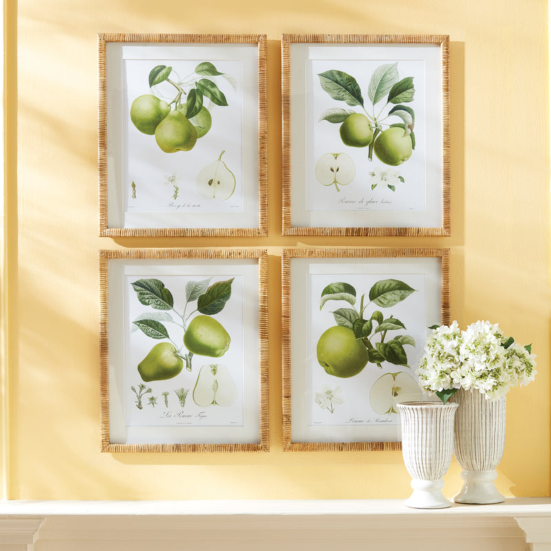 Design Shop Fruit Study, Set Of 4