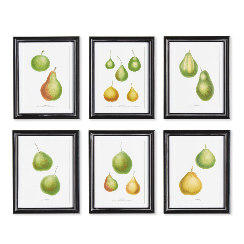 Design Shop Pear Study, Set Of 6