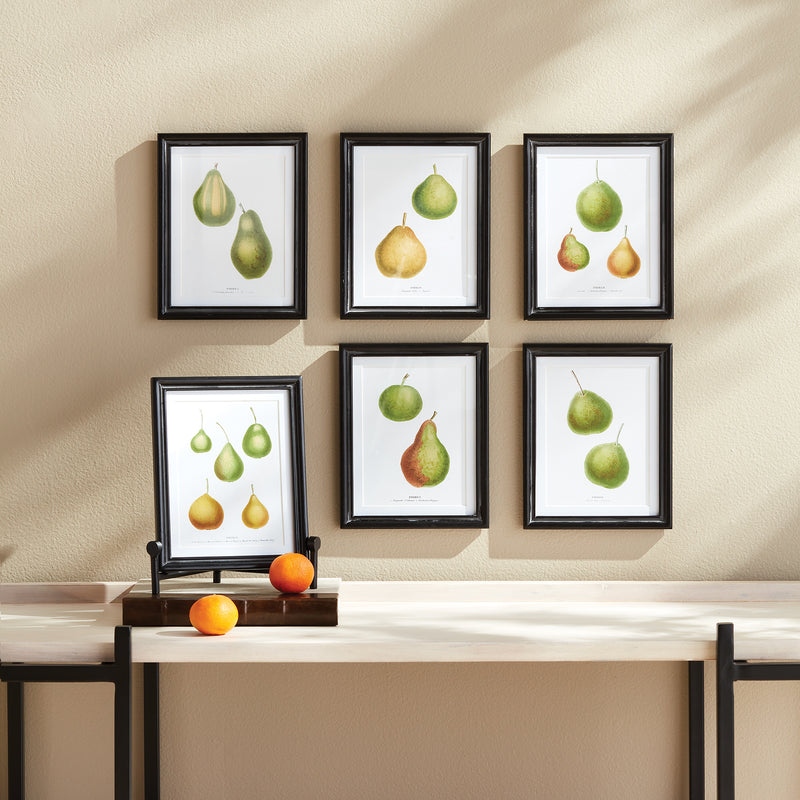 Design Shop Pear Study, Set Of 6