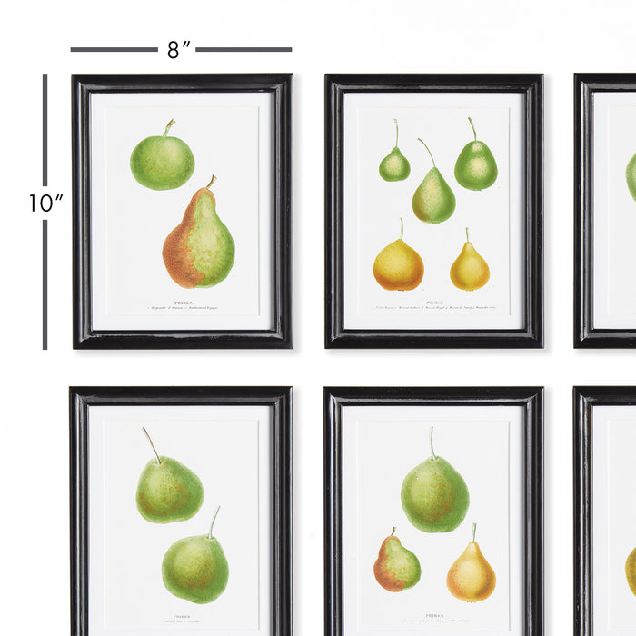 Design Shop Pear Study, Set Of 6