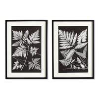 Design Shop Assorted Fern Study, Set Of 2