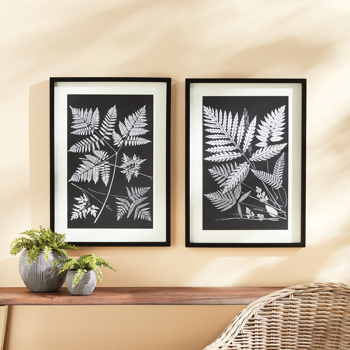 Design Shop Assorted Fern Study, Set Of 2