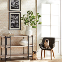 Design Shop Assorted Fern Study, Set Of 2