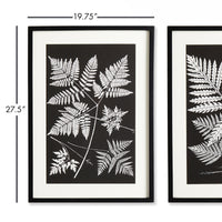 Design Shop Assorted Fern Study, Set Of 2