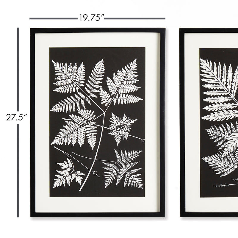 Design Shop Assorted Fern Study, Set Of 2
