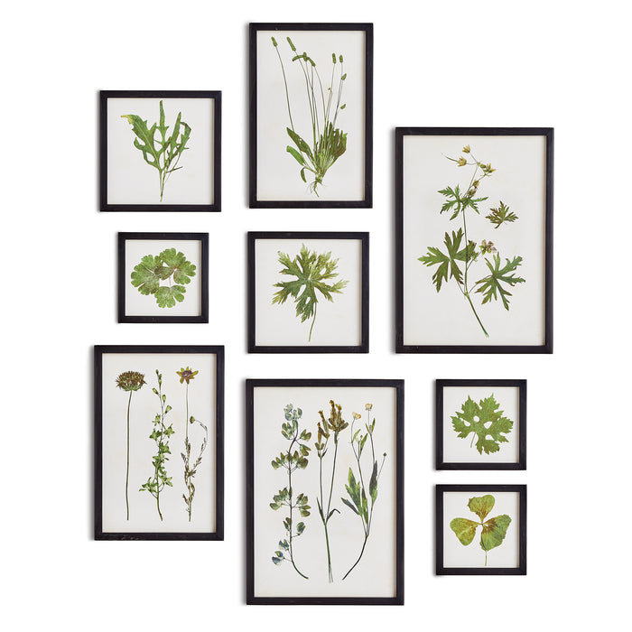 Design Shop Foliage Prints, Set Of 9