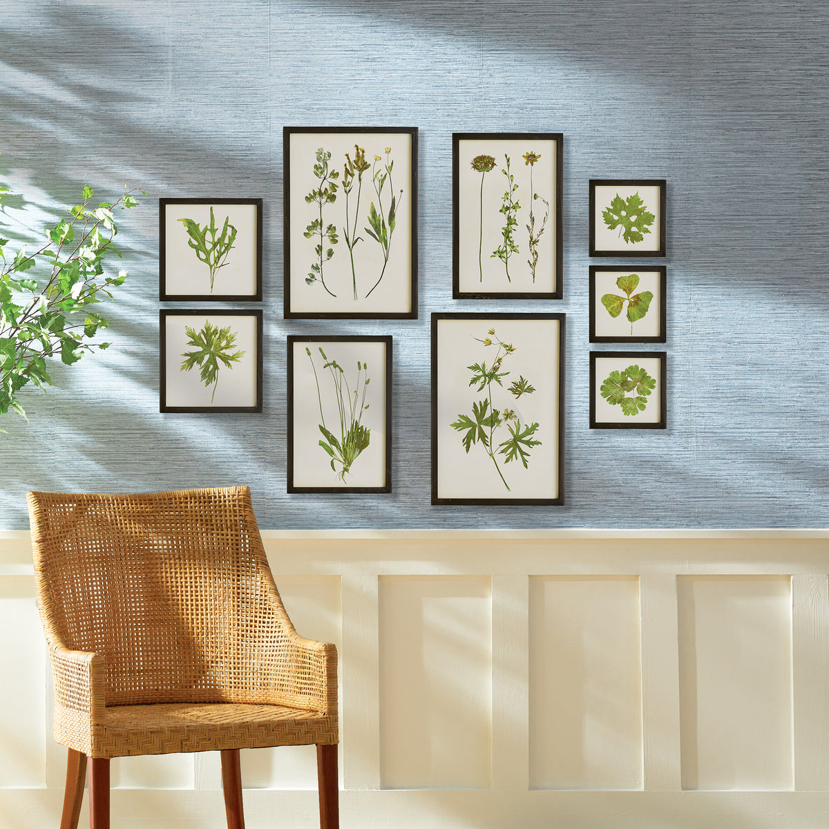 Design Shop Foliage Prints, Set Of 9