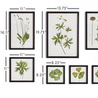 Design Shop Foliage Prints, Set Of 9