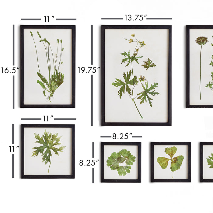 Design Shop Foliage Prints, Set Of 9
