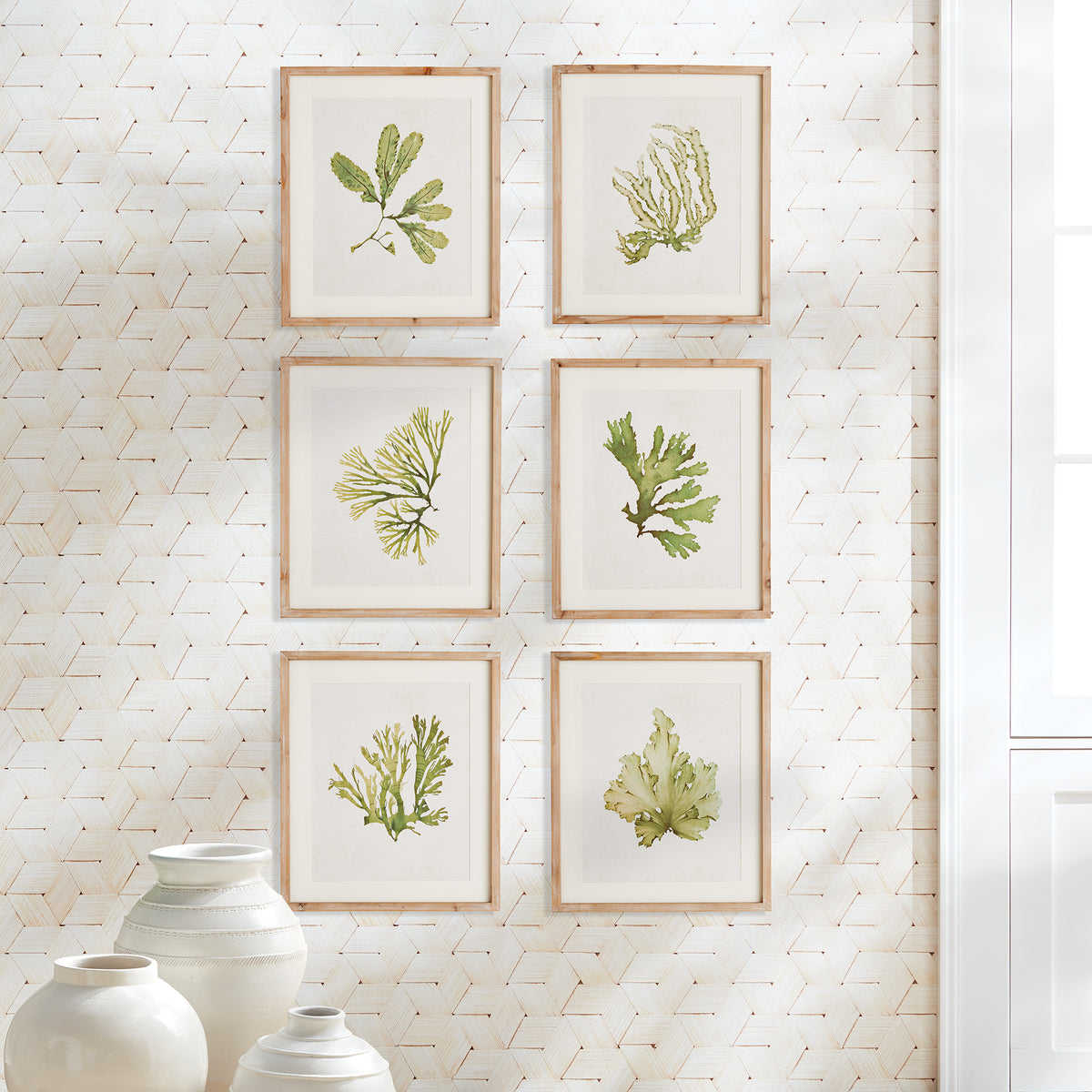 Design Shop Kelp Prints, Set Of 6