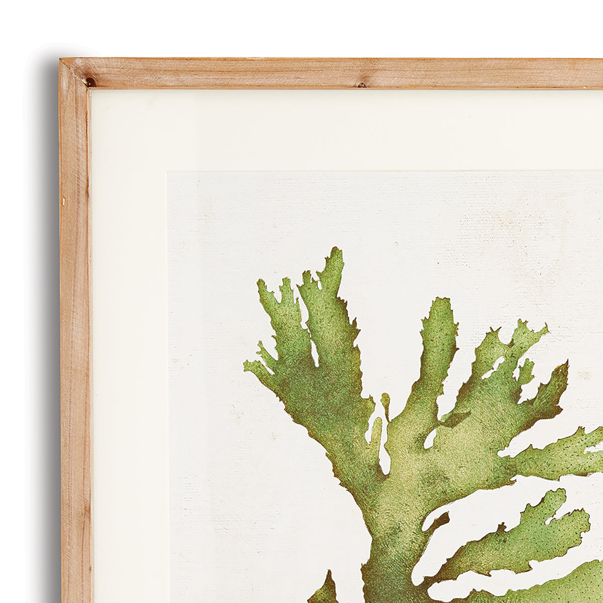 Design Shop Kelp Prints, Set Of 6