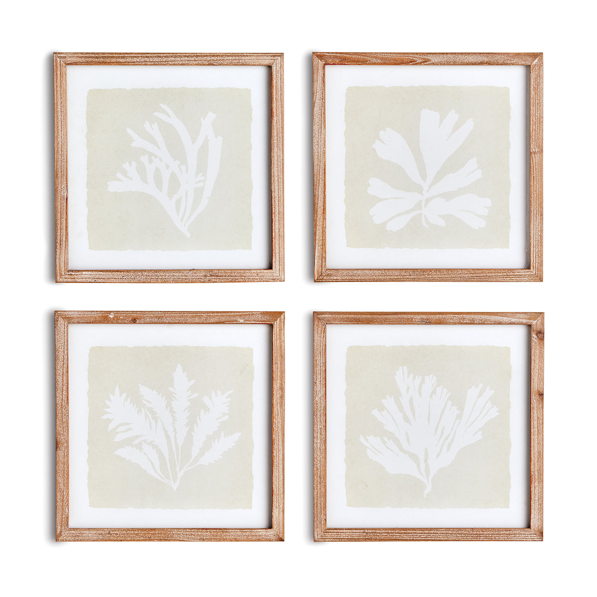 Design Shop Seaweed Petite Prints, Set Of 4