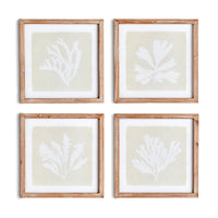 Design Shop Seaweed Petite Prints, Set Of 4
