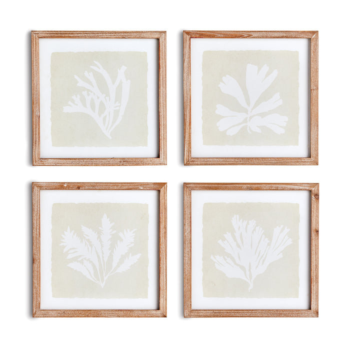 Design Shop Seaweed Petite Prints, Set Of 4