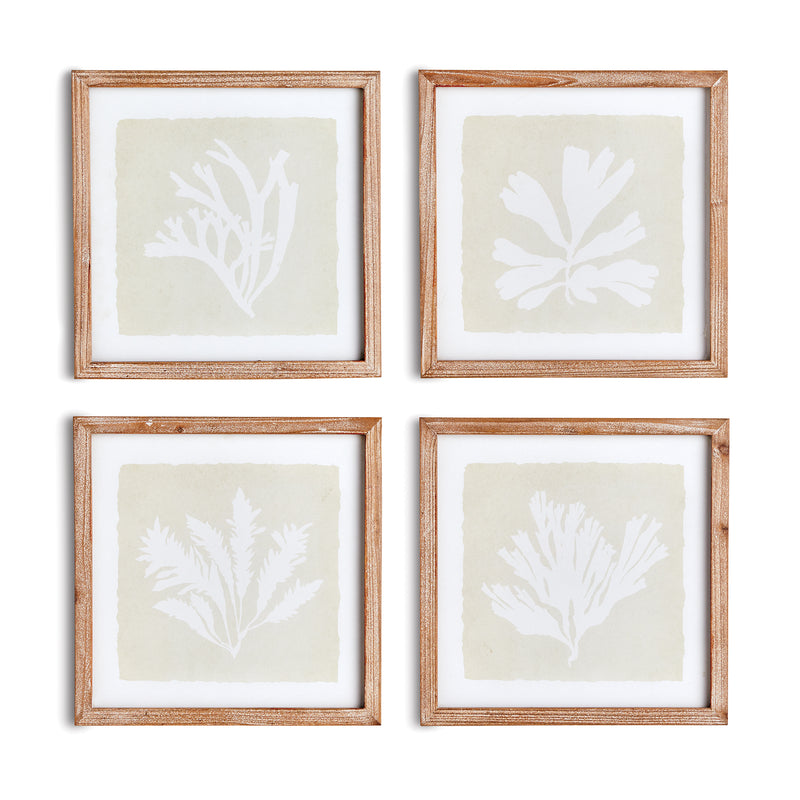 Design Shop Seaweed Petite Prints, Set Of 4