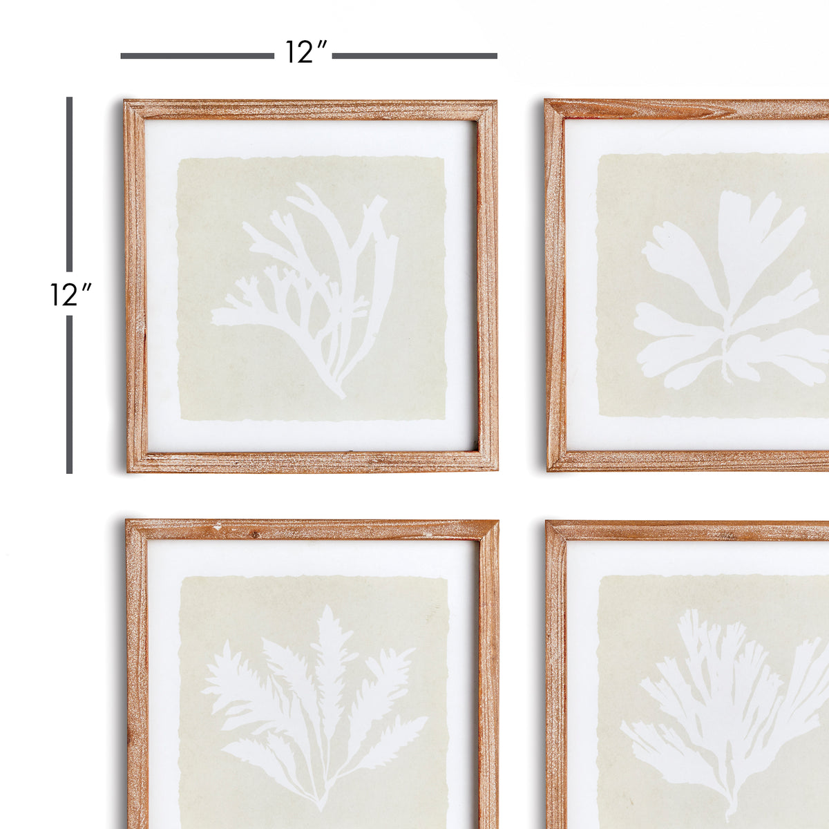 Design Shop Seaweed Petite Prints, Set Of 4