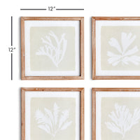 Design Shop Seaweed Petite Prints, Set Of 4