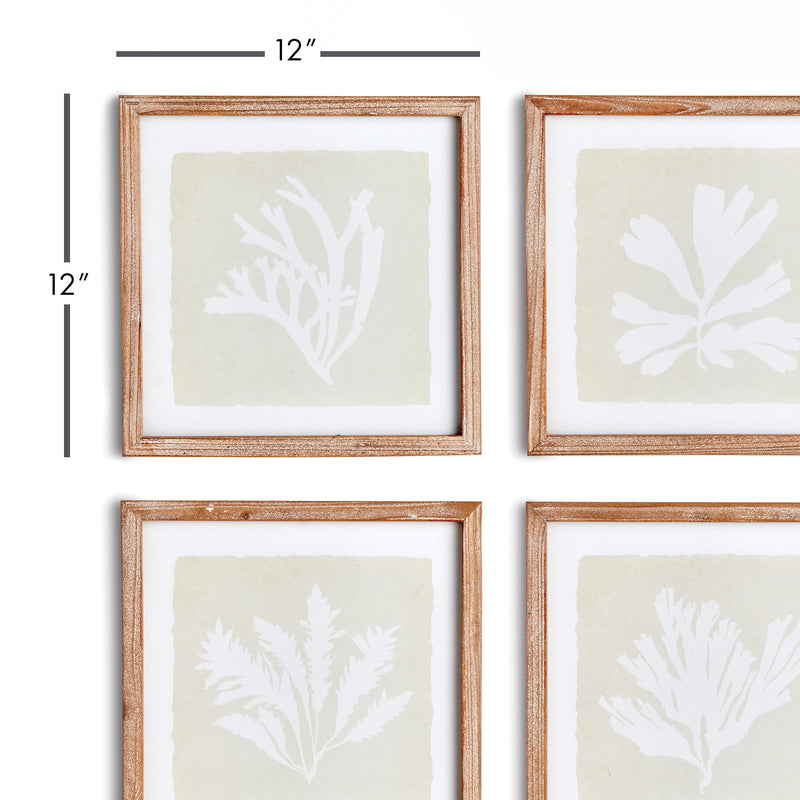 Design Shop Seaweed Petite Prints, Set Of 4