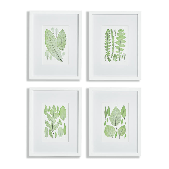 Design Shop Assorted Leaf Prints, Set Of 4