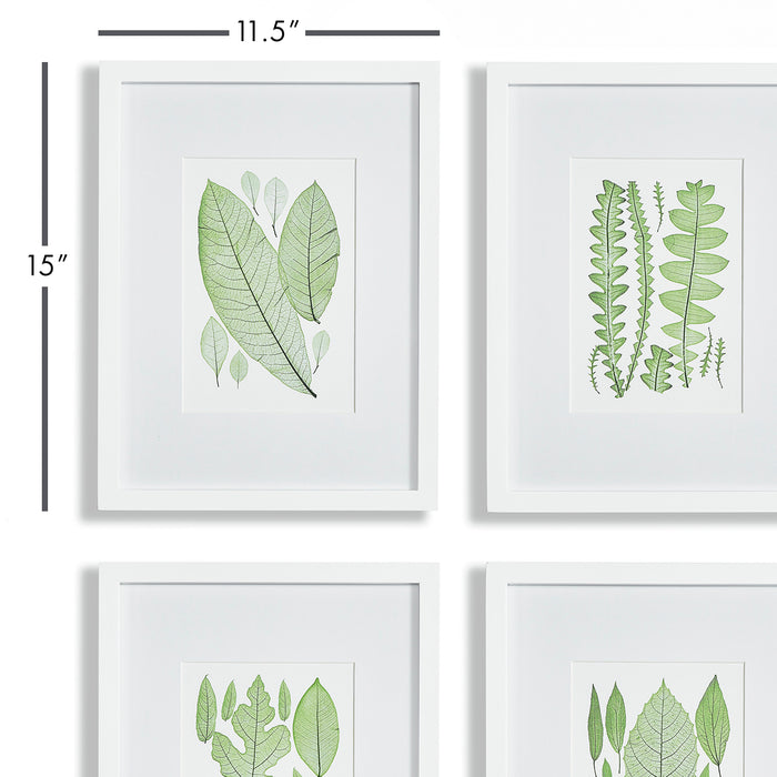 Design Shop Assorted Leaf Prints, Set Of 4