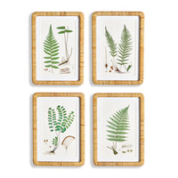 Design Shop Forest Fern Prints, Set Of 4