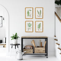 Design Shop Forest Fern Prints, Set Of 4