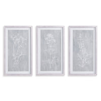 Design Shop Sketched Botanical Prints, Set Of 3