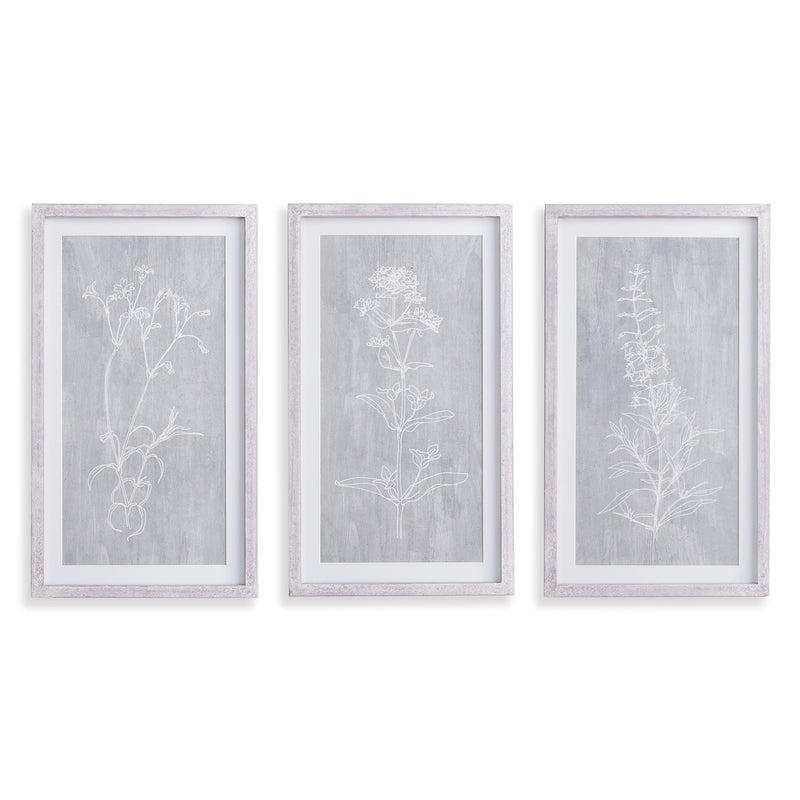 Design Shop Sketched Botanical Prints, Set Of 3