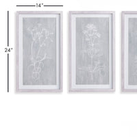 Design Shop Sketched Botanical Prints, Set Of 3
