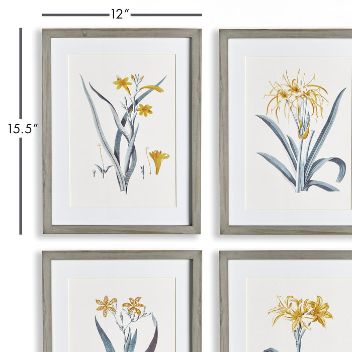 Design Shop Daffodil Prints, Set Of 4