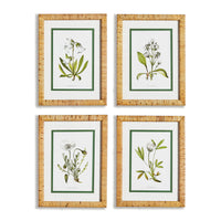 Design Shop White Floral Study, Set Of 4