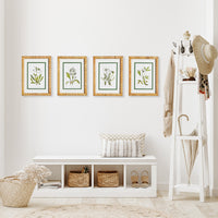 Design Shop White Floral Study, Set Of 4