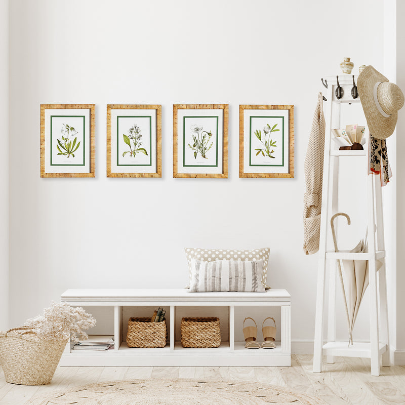 Design Shop White Floral Study, Set Of 4