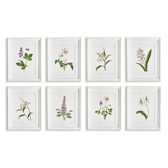 Design Shop Flowers In Bloom Petite Prints, Set Of 8