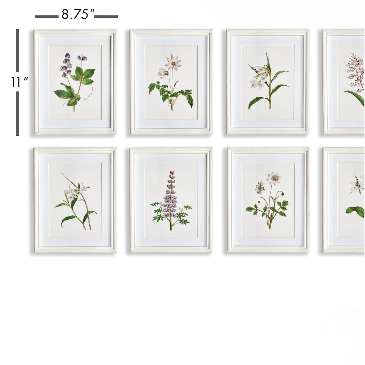 Design Shop Flowers In Bloom Petite Prints, Set Of 8
