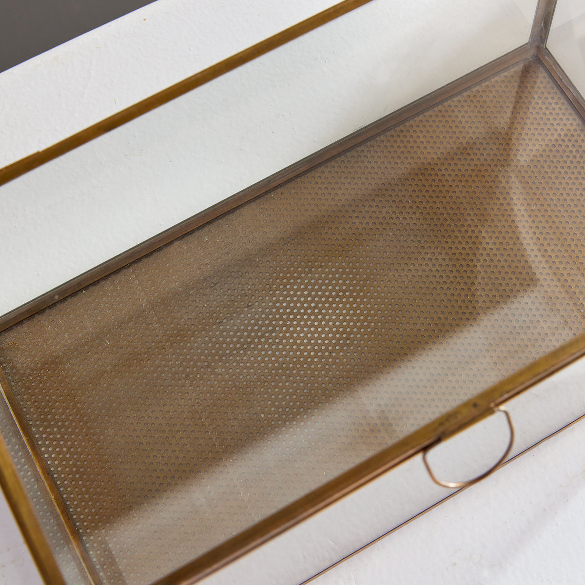 Design Shop Arwen Rectangular Display Box
