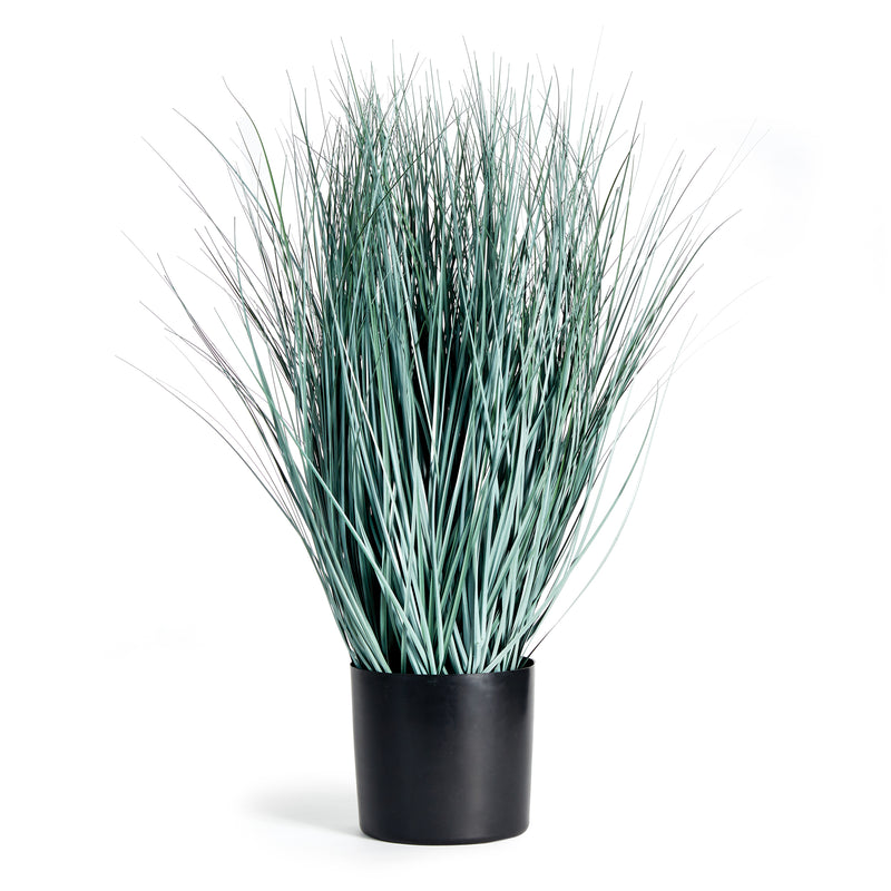 Design Shop Blue Oat Grass Drop-In 32"