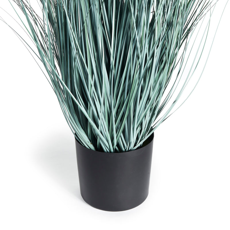 Design Shop Blue Oat Grass Drop-In 32"