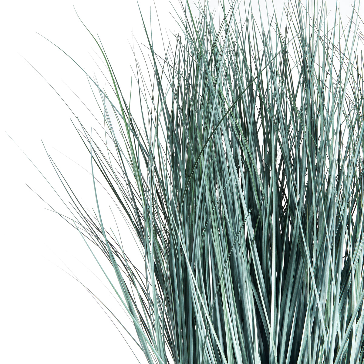 Design Shop Blue Oat Grass Drop-In 32"