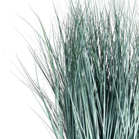 Design Shop Blue Oat Grass Drop-In 32"