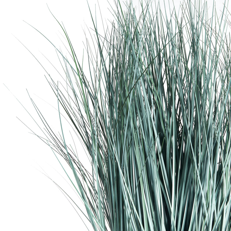 Design Shop Blue Oat Grass Drop-In 32"