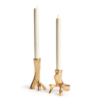 Design Shop Hyde Taper Holders, Set Of 2