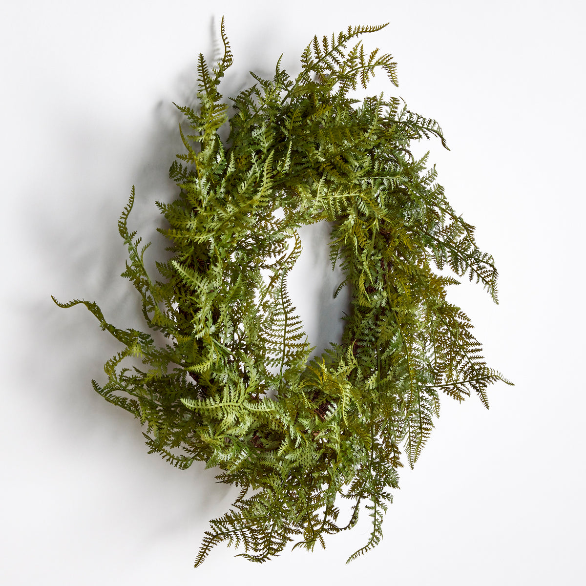 Design Shop Fern Wreath 18"