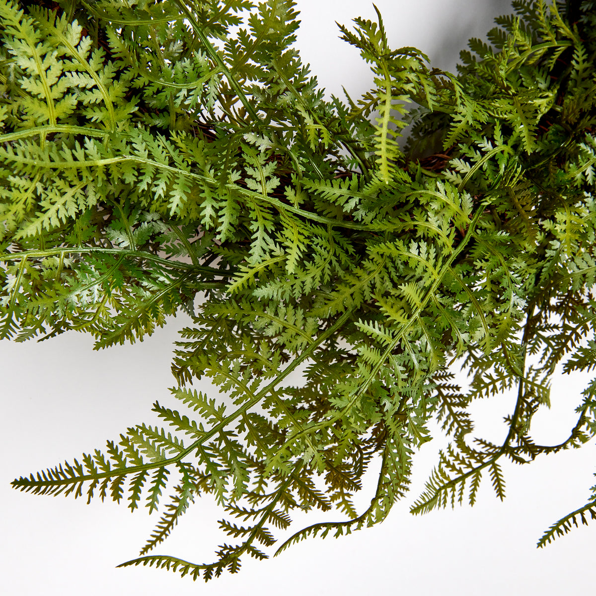 Design Shop Fern Wreath 18"