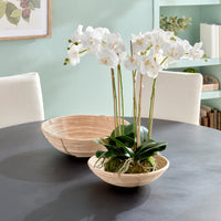 Design Shop Cane Rattan Low Bowls, Set Of 2