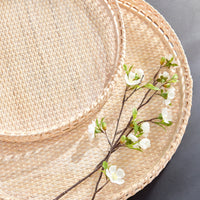 Design Shop Barri Trays, Set Of 2