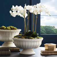 Design Shop Coletta Decorative Footed Low Bowl