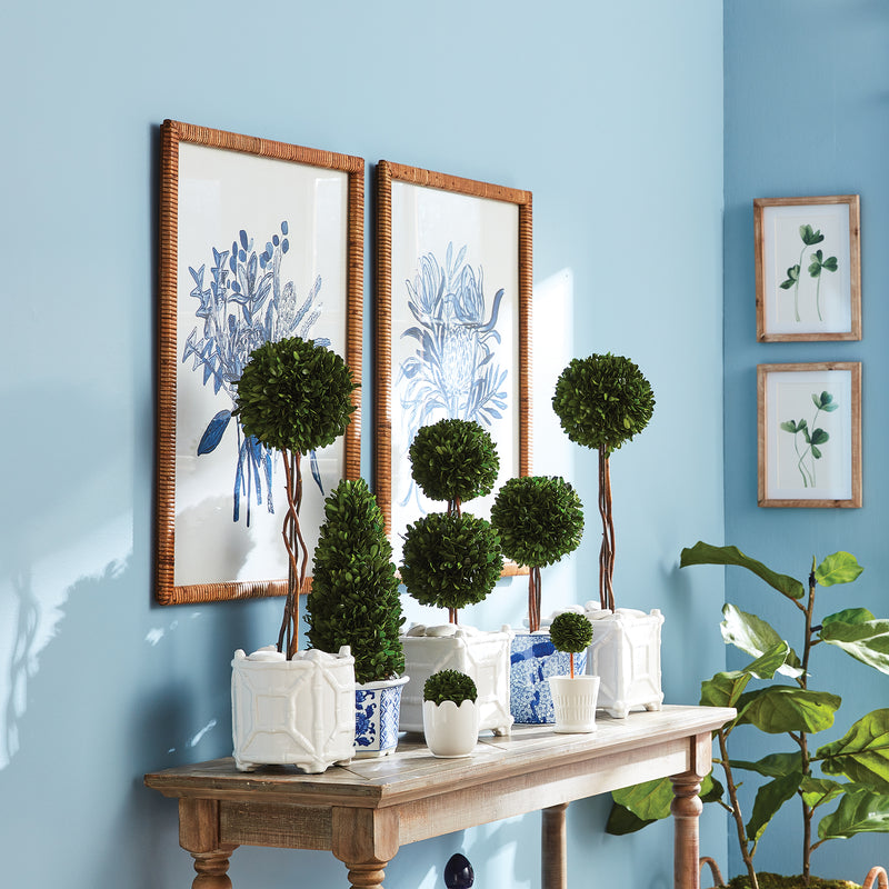 Design Shop Banksia Bouquet Prints, Set Of 2
