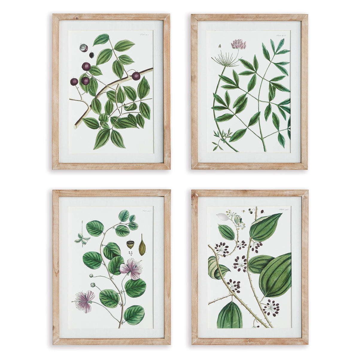 Design Shop Verdant Branch Prints, Set Of 4