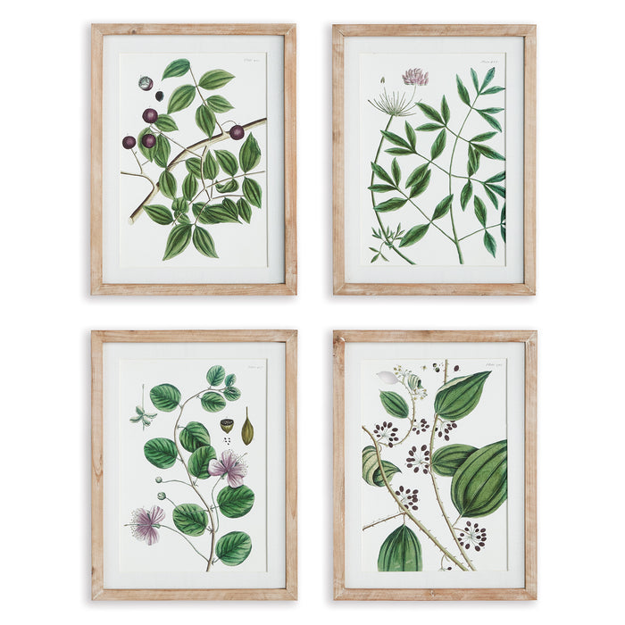 Design Shop Verdant Branch Prints, Set Of 4